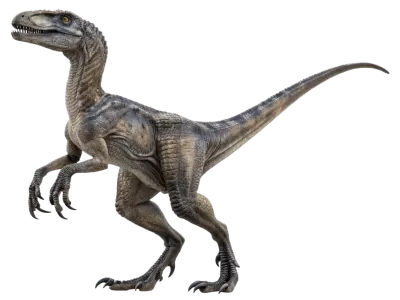 Imagen PNG para descargar